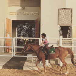 THE SUSTAINABLE CITY EQUESTRIAN CLUB