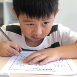 METAMINDZ - BLENDED LEARNING