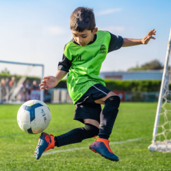 LITTLE LEGENDS SPORT TRAINING L.L.C.