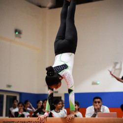 PRO SPORTS ACADEMY