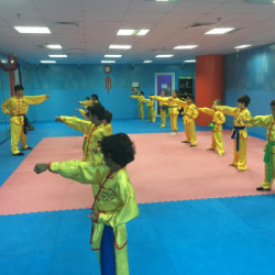 Shaolin Kung Fu Martial Arts Club