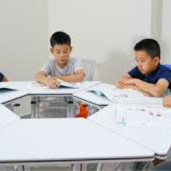 SUNLIGHT CHINESE LANGUAGE AND ARTS INSTITUTE