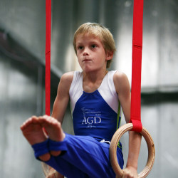 ArtFlex by aspire gymnastics