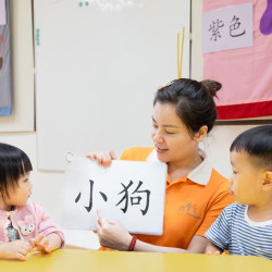 SUNLIGHT CHINESE LANGUAGE AND ARTS INSTITUTE