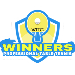 GOLDEN WINNERS SPORTS SERVICES