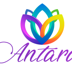 ANTARA INSTITUTE OF PERFORMING ARTS LLC